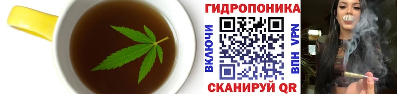 Cannafood конопля  Купить где  Асино 