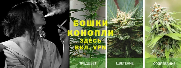 наркотики Горно-Алтайск