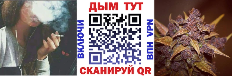 Бошки марихуана THC 21%  Купить где  Асино 